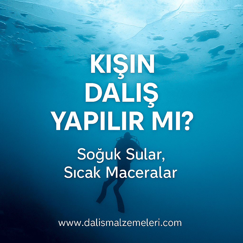 Kışın Dalış Yapılır mı? İşte Bilmen Gerekenler