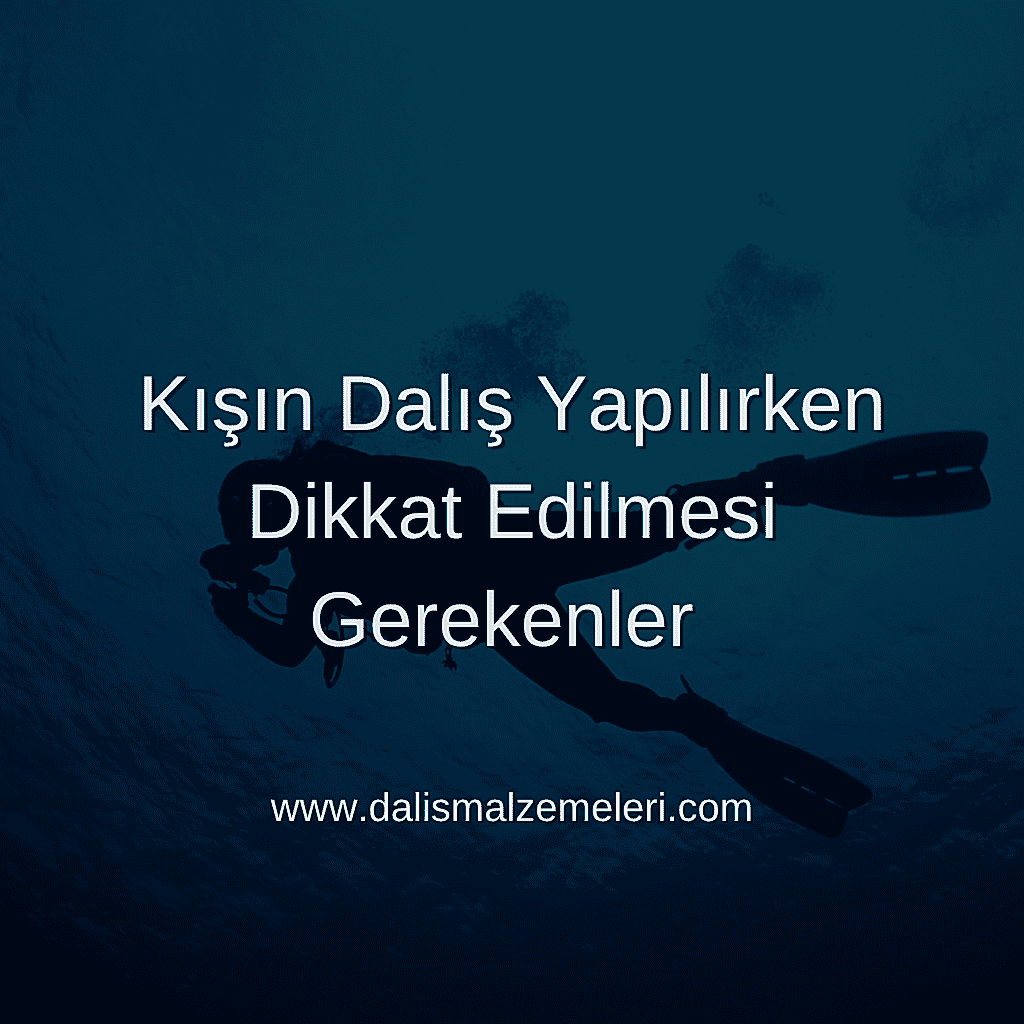 Kışın Dalış Yapılırken Dikkat Edilmesi Gerekenler