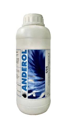 Sentetik Yağ-ANDEROL 555