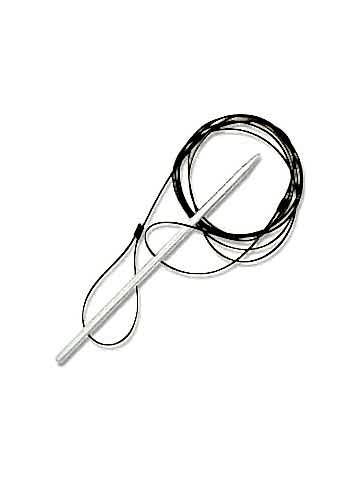 İpli Balık Dizgisi