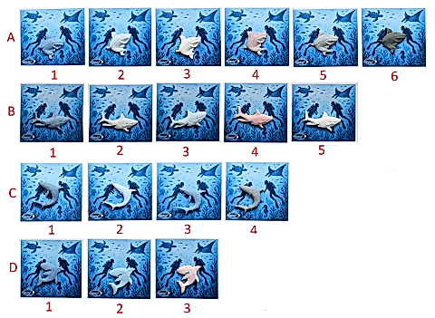 Deniz Canlıları Rozet-3